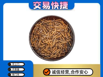 天津高价回收散虫草